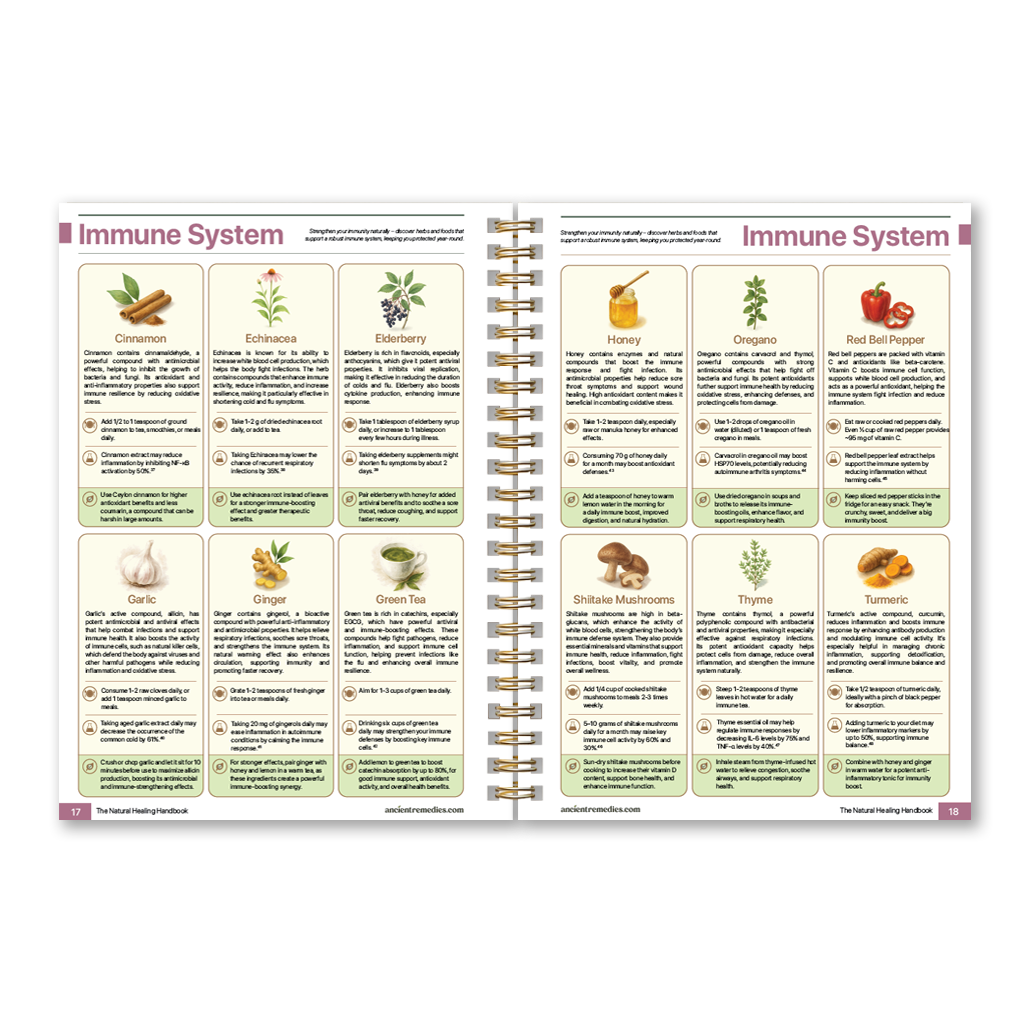 Pages from The Natural Healing Handbook
